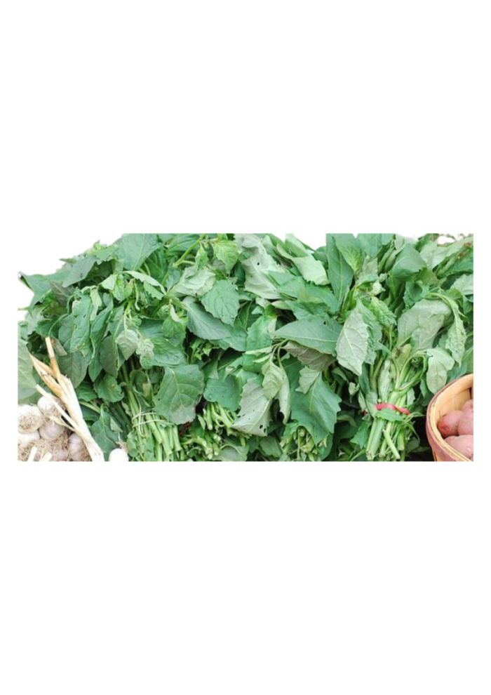 Bitter Leaves