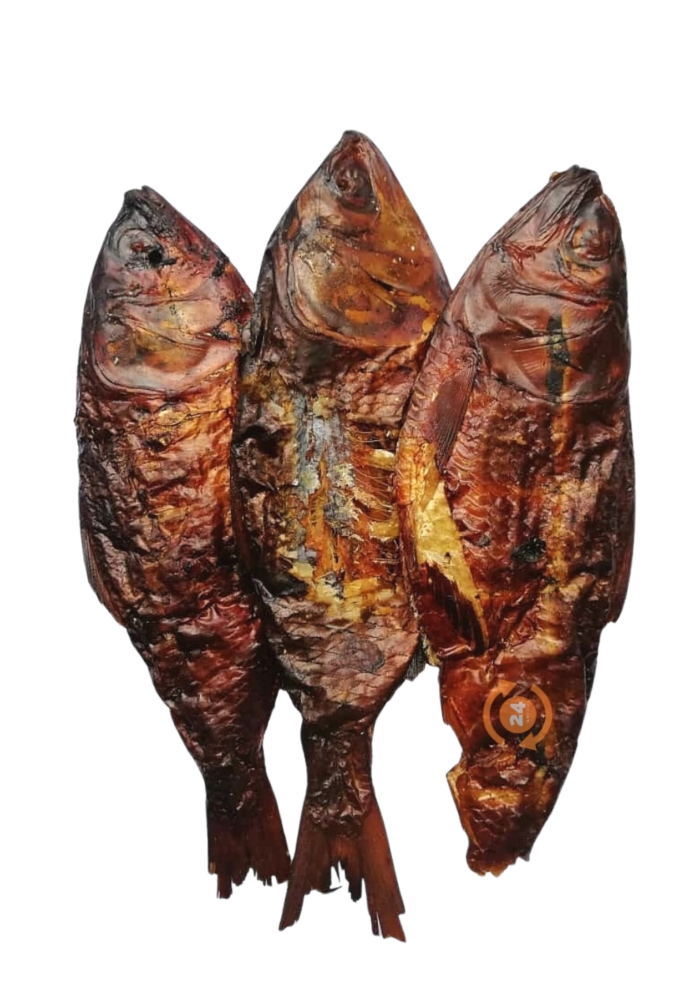 Bonga Fish