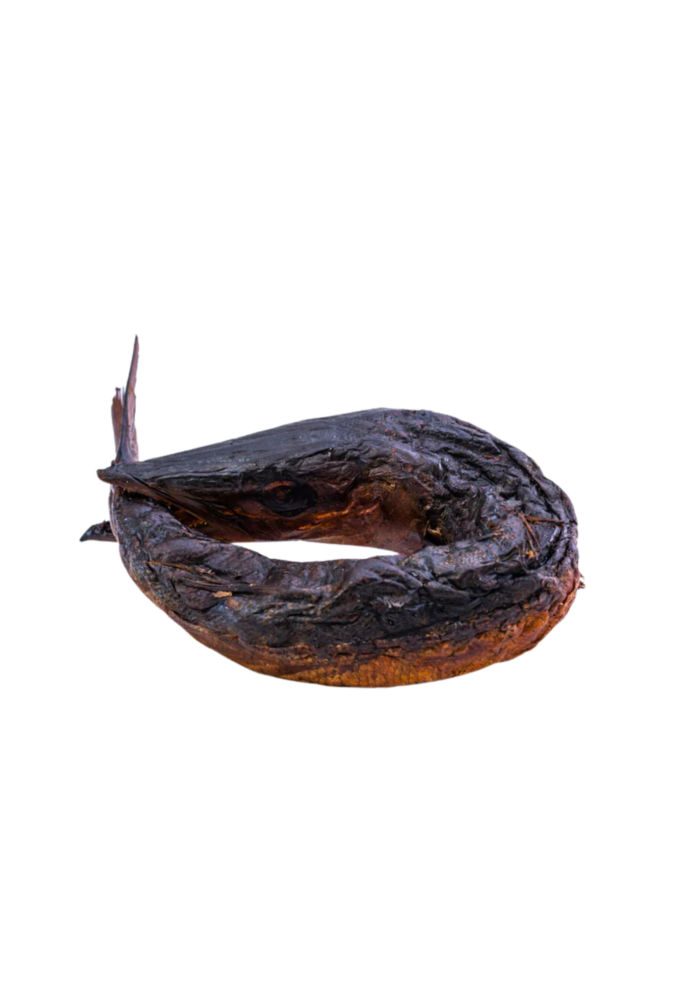 Dried Baracuda Fish
