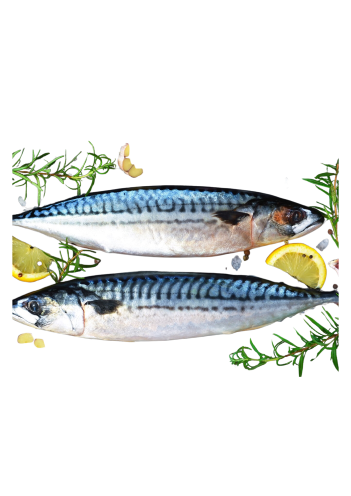 Mackerel - Image 2