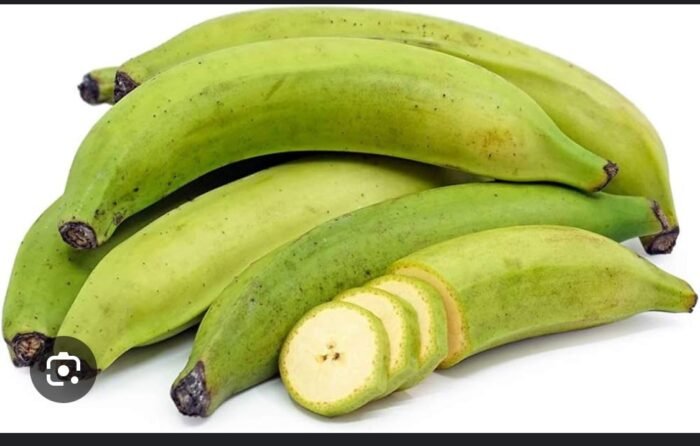 Plantain 1B